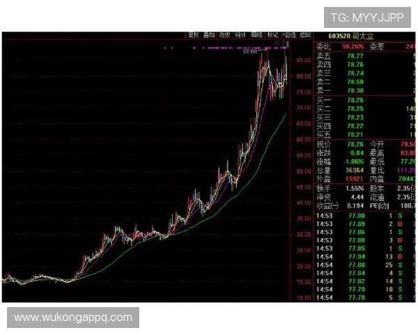帕尔默数据爆炸背后的战术角色与效率解析