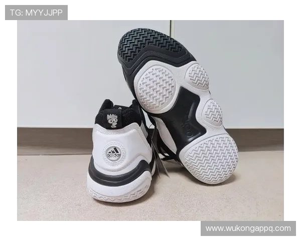 托尼娅·哈丁当年那双冰鞋，现在够买套房了？