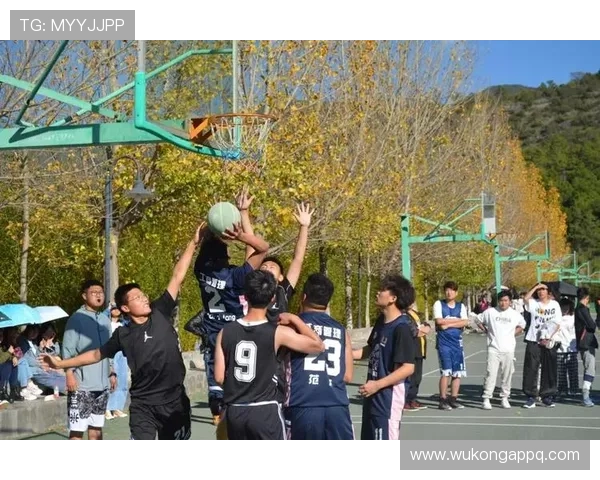 争球规则中裁判判罚和执行流程的关键标准解析