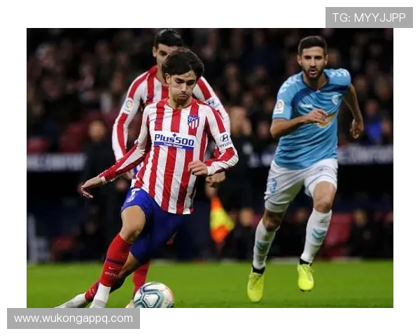 恩昆库与菲利克斯：同代天才攻击手的分化轨迹