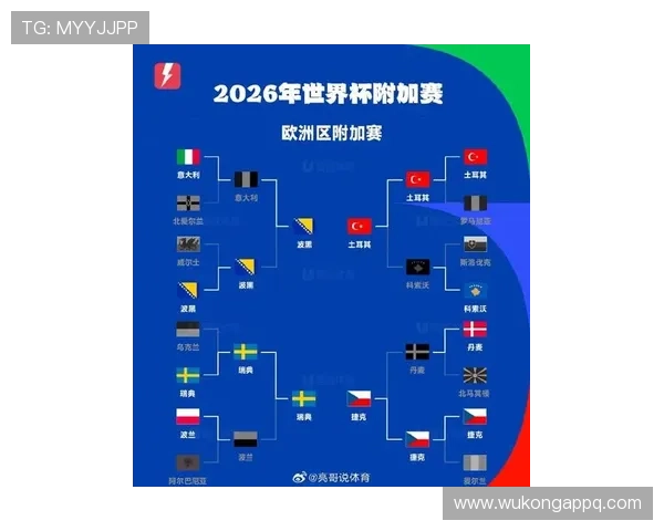 波黑国家队2026世界杯预选赛前景分析 能否首次突围晋级正赛 波黑国家队2026世界杯预选赛前景分析 能否首次突围晋级正赛